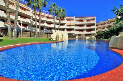 Apartament - Rynek wtórny - Playa Flamenca - Playa Flamenca