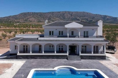 Obra nueva - Villa - Pinoso - Camino Del Prado