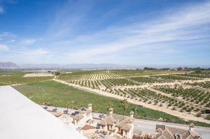 New Build - Villa - Algorfa - La Finca Golf