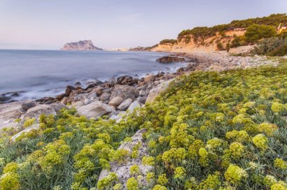 New Build - Villa - Benissa - Cala Advocat